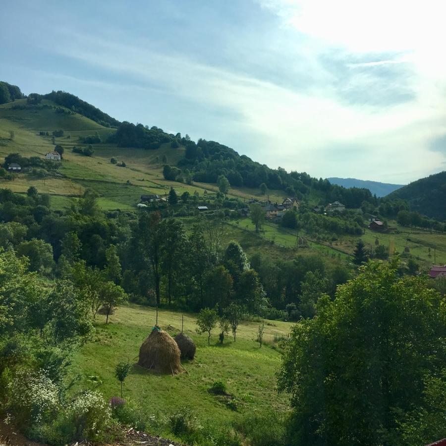 Mihoesti Cabana Baraj Apuseni Mountains מראה חיצוני תמונה