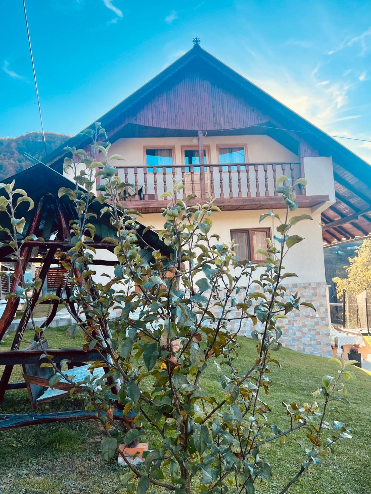 Mihoesti Cabana Baraj Apuseni Mountains מראה חיצוני תמונה