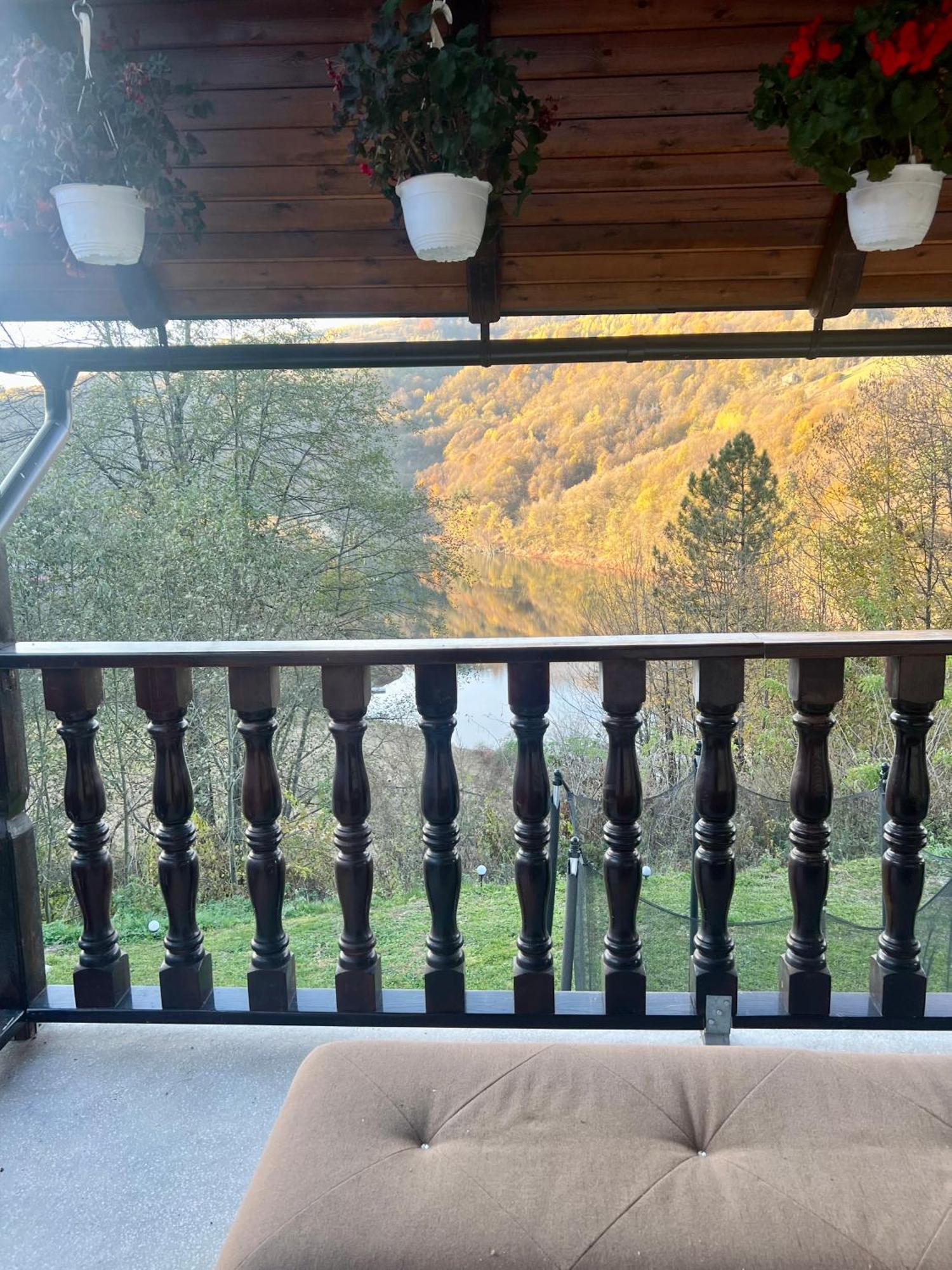 Mihoesti Cabana Baraj Apuseni Mountains מראה חיצוני תמונה