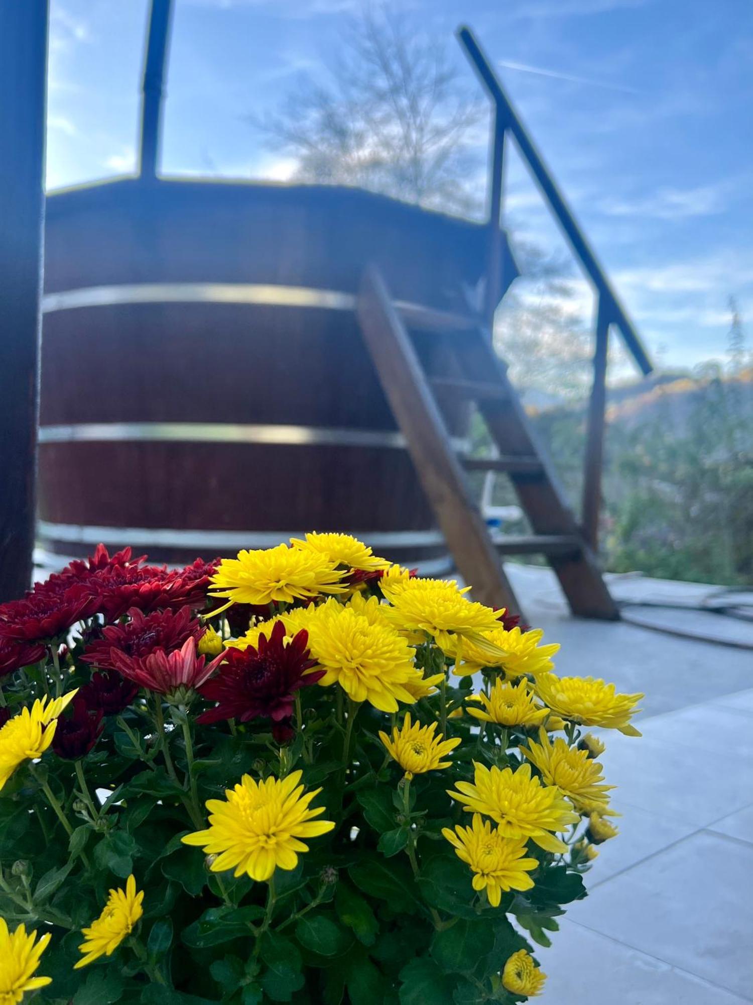 Mihoesti Cabana Baraj Apuseni Mountains מראה חיצוני תמונה
